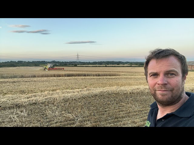 Wheat harvest