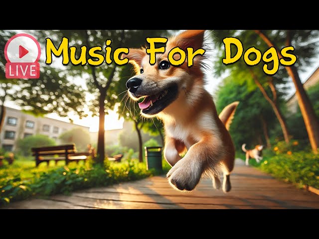 🔴 24 Hours of Dog Calming Music for Dogs 🎵 TV for dogs 🐶 Dog Separation Anxiety Relief Music