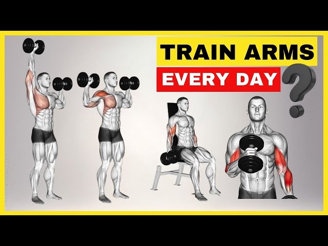 What Happens If You Workout Arms Every Day