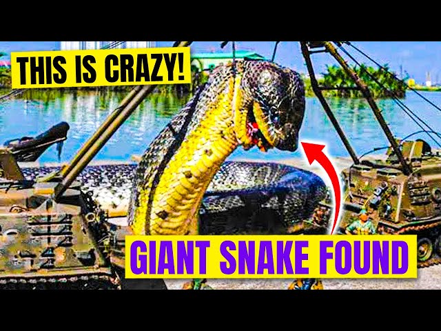 Top 10 Largest Creatures Captured in History