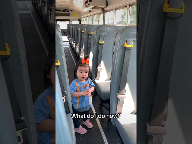 School Bus Touch A Truck