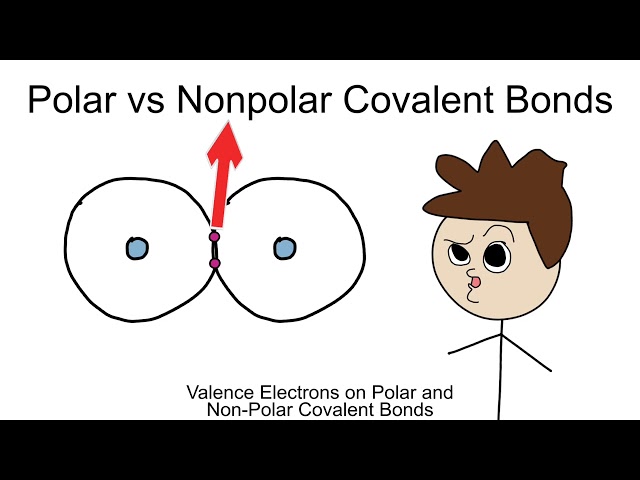 Valence Electrons On Polar And Nonpolar Covalent Bonds - BIOLOGY/CHEMISTRY EP6