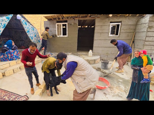 🧑‍⚕️💉"Veterinarian Visits Amir's Farm for Dog Vaccination & Qadir Beautifies Milad's Home!"