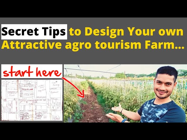 Secret Tips to Design an Attractive Agro Tourism Farm