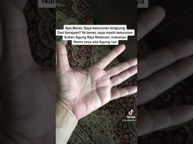 KATANYA KALAU MEMPUNYAI TANDA INI , KETURUNAN RAJA