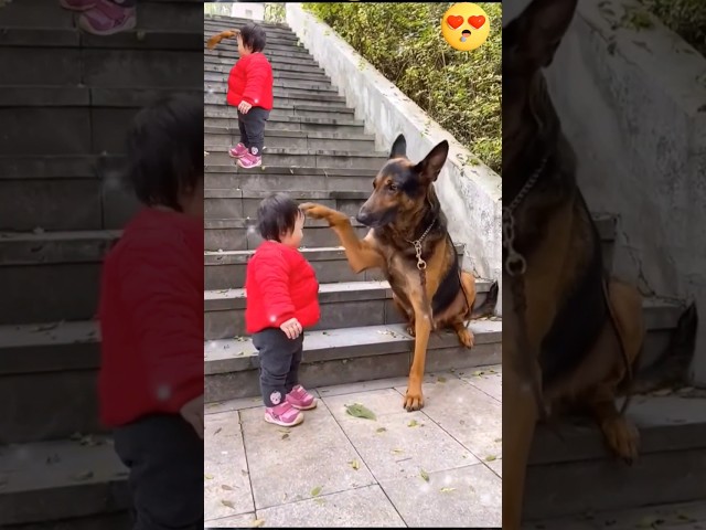 The Cutest Babysitter Ever! 🐶👶💞#cutebaby #dog