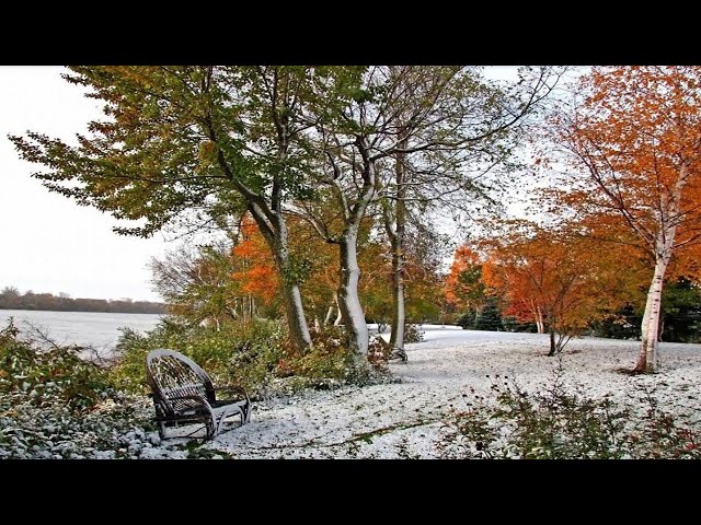 UK Weather Forecast: Wintry Showers Easing Ahead Of Storm Bert (Friday 22nd November 2024)