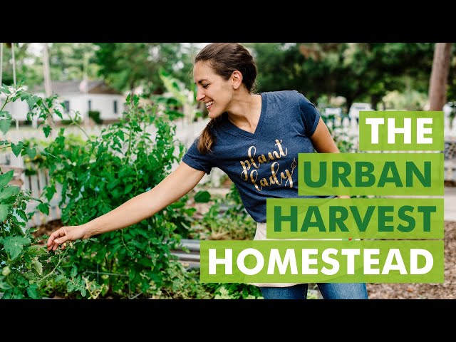 Tour of The Urban Harvest Homestead