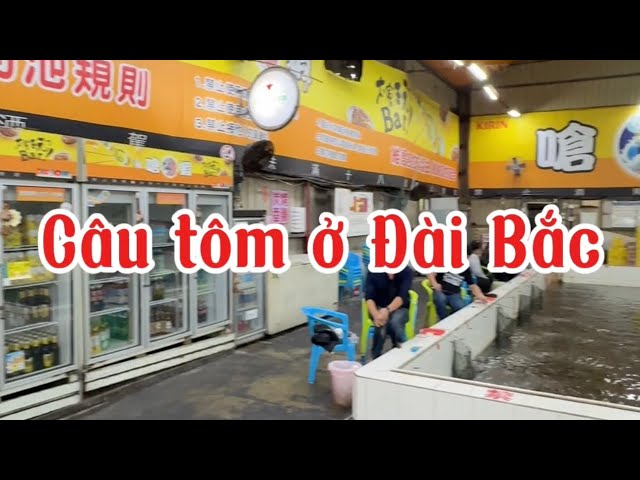 Đi câu tôm ở Đài Bắc ( Shrimping in Taipei)