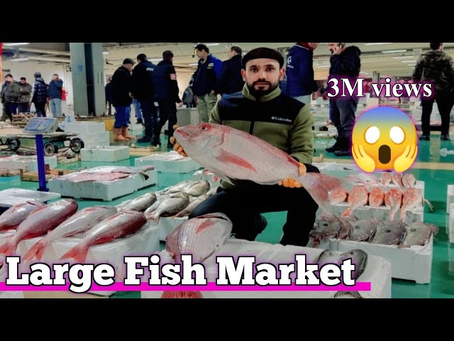 ISTANBUL LARGE FİSH MARKET 🔥 SELVAM | 😱 15 KG GIANT TREVALLY FISH | MUHAMMAD PARDESİ | 4K VIDEO ||