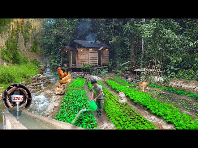 Build houses, fish ponds, gardens, hydroelectric, alone build life last for hundreds years in forest