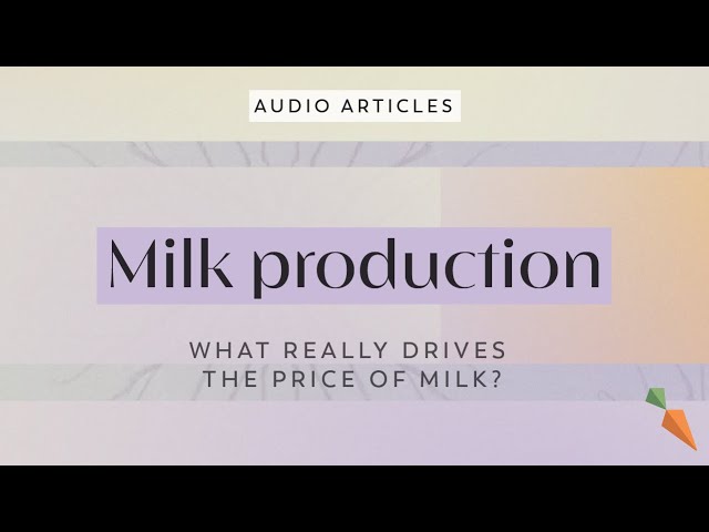 What Really Drives the Price of Milk? | FoodUnfolded AudioArticle