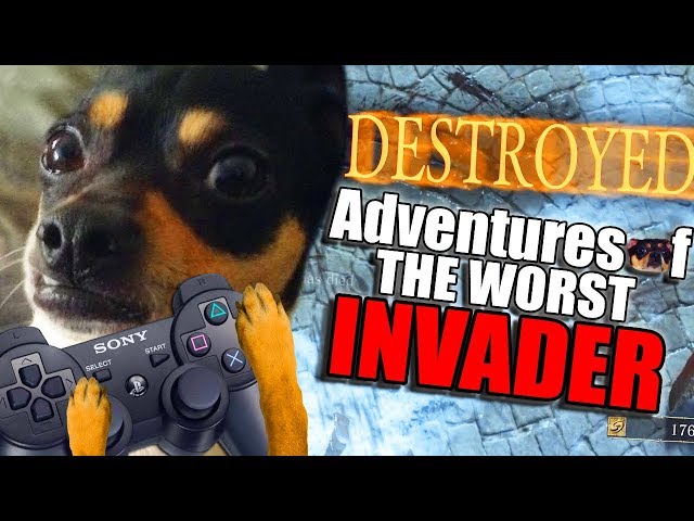 Dark Souls 3 PvP - Adventures Of The Worst SL 60 Invader - Cookie Plays For Me?