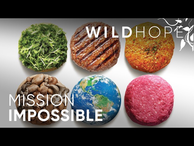 The Genius Behind The Plant-Based Impossible Burger | WILD HOPE