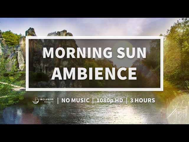 Morning Sun Ambience for Studying, Coding, Chilling, ASMR, and Staying in the Flow