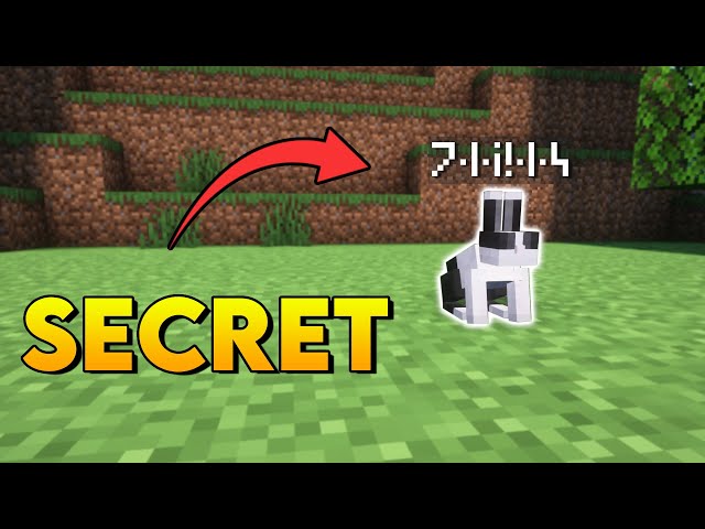 LES SECRETS DE MINECRAFT !