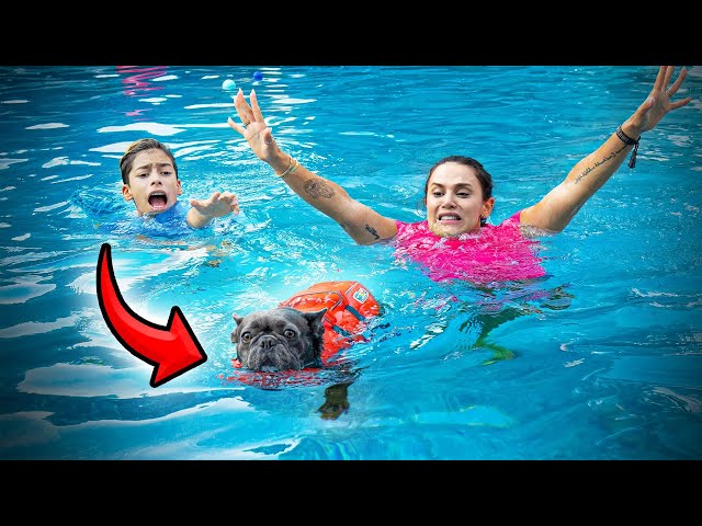 Our PUPPY Almost DROWNED... | The Royalty Family