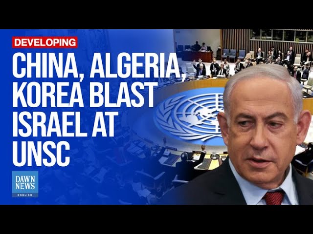 “Genocide Underway”: UNSC Convenes Moot on Israel's war on Gaza and Lebanon | Dawn News English