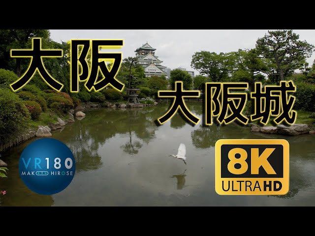 大阪城 8K3D VR180 Osaka Castle