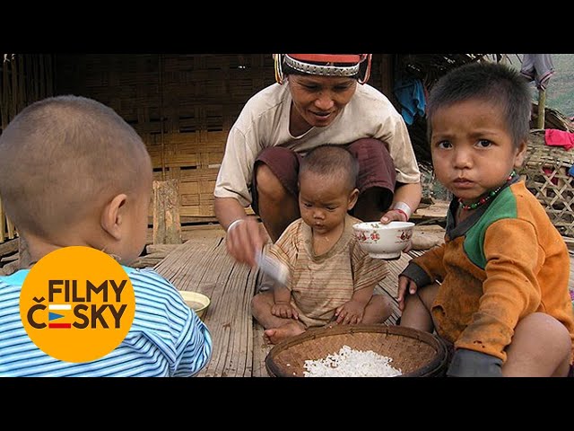 Zajatci bílého boha  | celý film