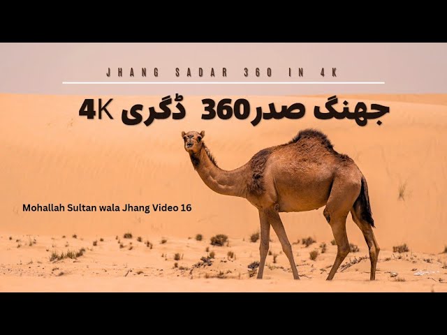 Mohalla Sultan Wala Jhang |360degree 4K|  Jul 2024