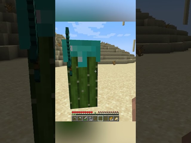 Minecraft, But Cactus is Cursed...