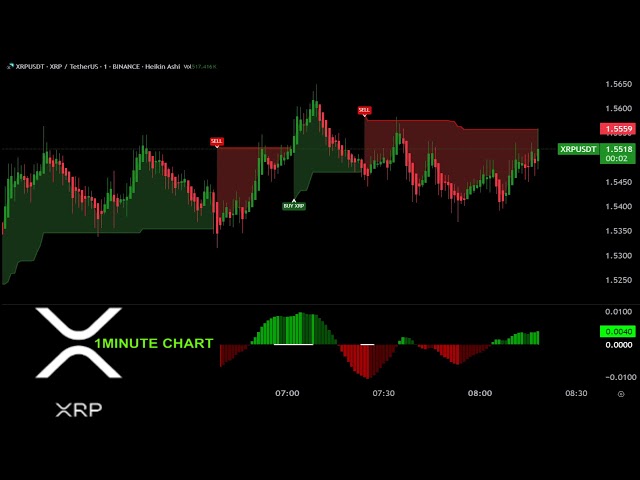 🔴 XRP LIVE TRADING 1 MINUTE CHART:  (updated  today)  EDUCATION CHART v4.21