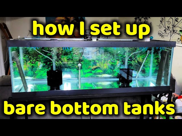 HOW I SETUP BARE BOTTOM TANKS