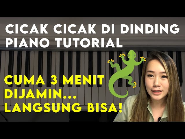 Belajar Piano 3 Menit - Cicak Cicak di Dinding Piano Tutorial | Fast Piano Lesson