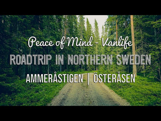 Roadtrip in Northern Sweden - Ammerån: Relaxing Vanlife Adventure with our Husky dog.