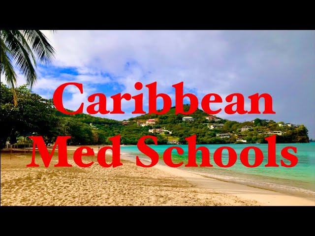 Should YOU Go To A Caribbean Med School?