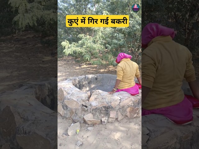 बकरी को निकाला कुएं से बाहर / how to get the goat out of the well / #shorts #shortsviral