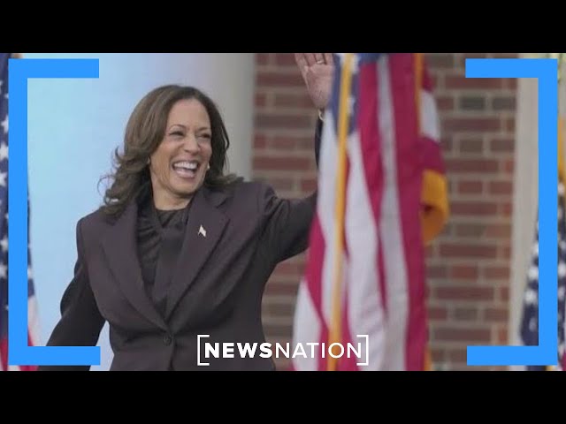 What should liberals blame for Harris' loss? | Dan Abrams Live