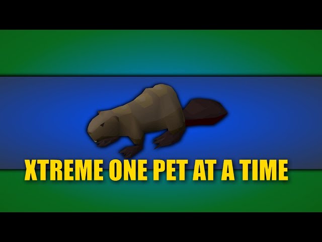 Xtreme One Pet At A Time - #8