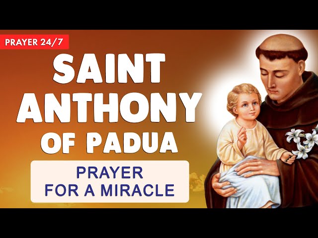 🔴 POWERFUL PRAYERS to SAINT ANTHONY of PADUA 🙏 for a MIRACLE - Prayer 24/7