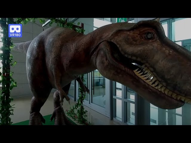 4K 3D 180VR WOW Giant Dinosaur in the Jurassic Park Museum