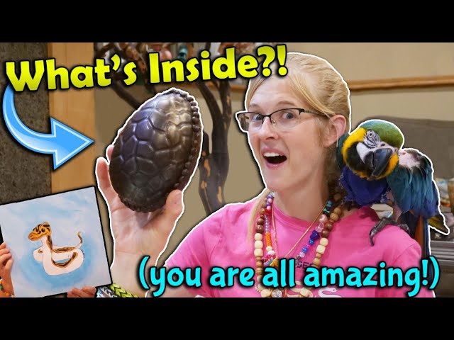 A Dinosaur Egg in our Mail?! (Fan Mail Part 13)