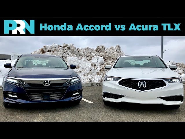 Honda Accord vs Acura TLX | What’s Really Different Between These Sibling Sedans?