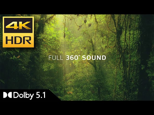 4K HDR | Amaze (Pre-Show Trailer for Dolby Atmos) | Dolby 5.1