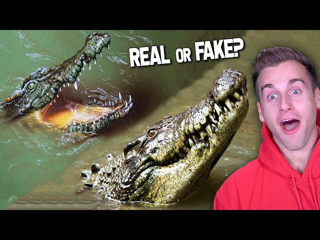 Real Or Fake!? (87% Guess It Wrong)