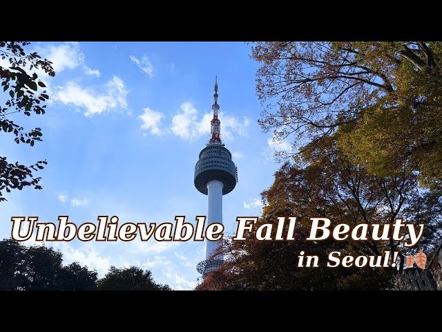 The Perfect Spot to Enjoy Autumn in Seoul! Nature & Food Adventure 😋🍂