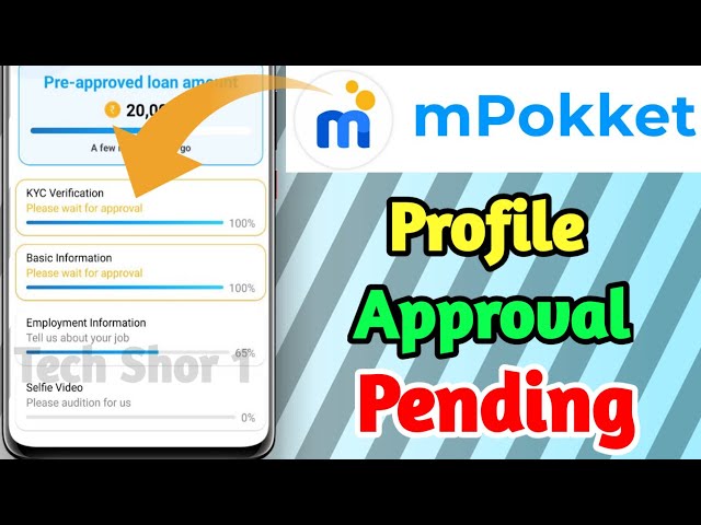 Mpokket profile approval pending problem solve |  Mpokket pending for approval kaise thik kare