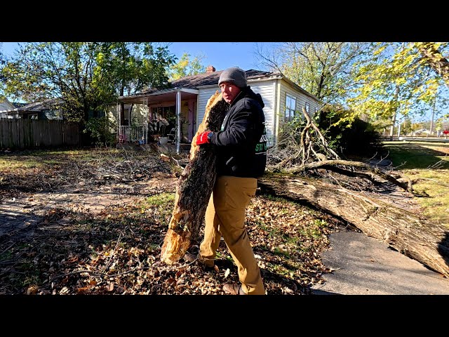 DEAD Tree Falls On Elderly Lady's CAT So We Did This To Help Her Out