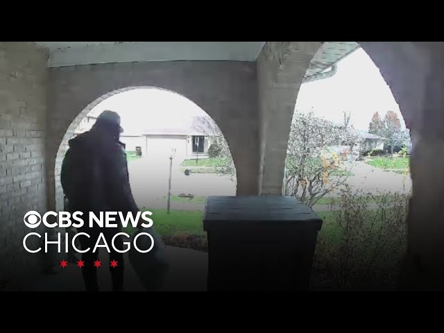 Suburban Chicago man catches porch pirate on Ring camera