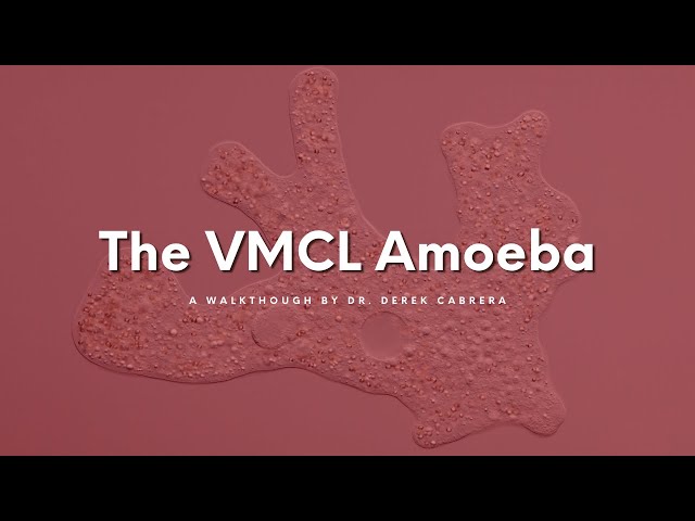 Dr. Derek Cabrera explains VMCL Theory with the "VMCL amoeba" | Introduction to Cabrera Research Lab