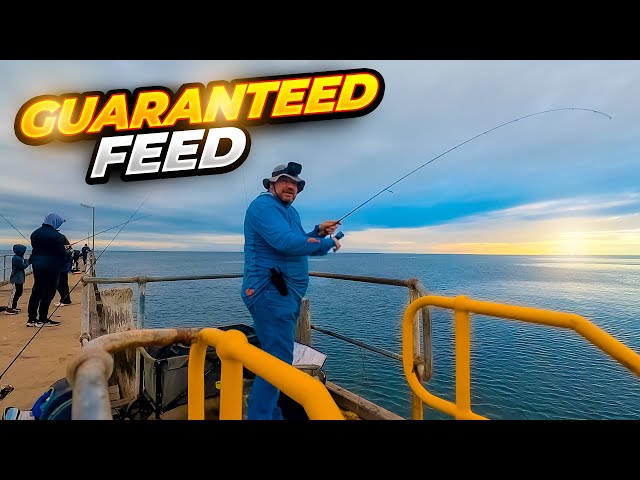 FISHING ESCAPE to the Wool Bay Jetty, YORKE PENINSULA