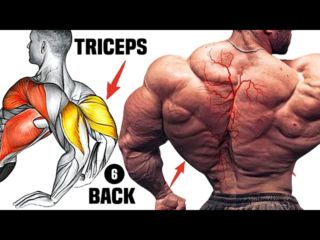 6 Best Triceps And Back Exercises | Get Toned Triceps and a Strong Back