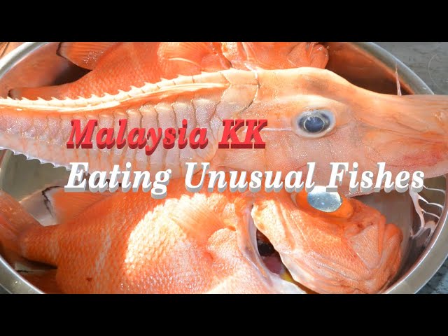 KK Offshore - Eating unusual deep sea fishes!