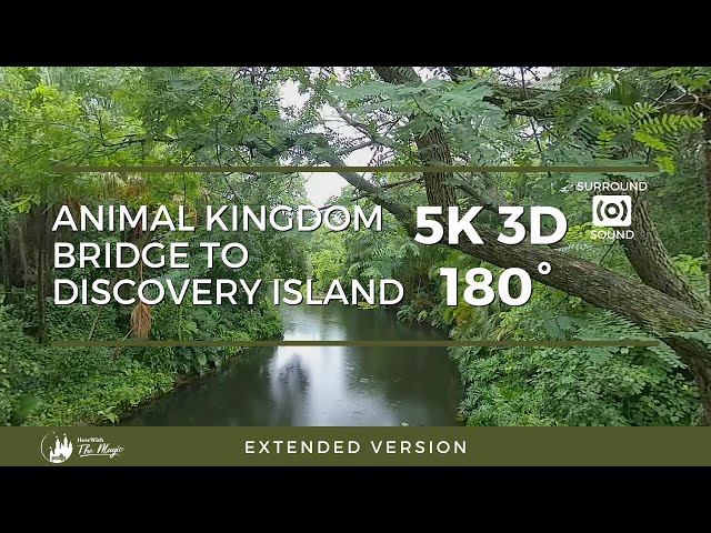 Animal Kingdom Oasis Bridge to Discovery Island  (5K 3D 180° VR) (Extended Version)