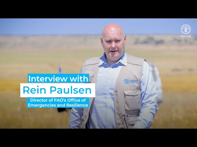 Animal Fodder Distribution in Gaza - Interview with Rein Paulsen